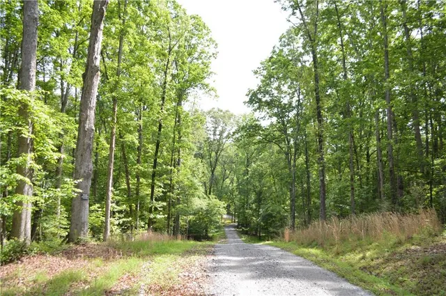$1,825,000 | 8 Ripplewood Trail, Euharlee, GA 30145