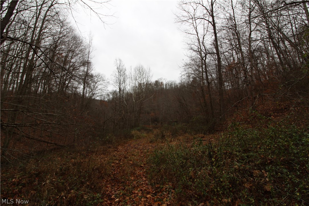 Wilson Run Road New Matamoras, OH 45767 - Photo 28 of 34 Gallery Image 28