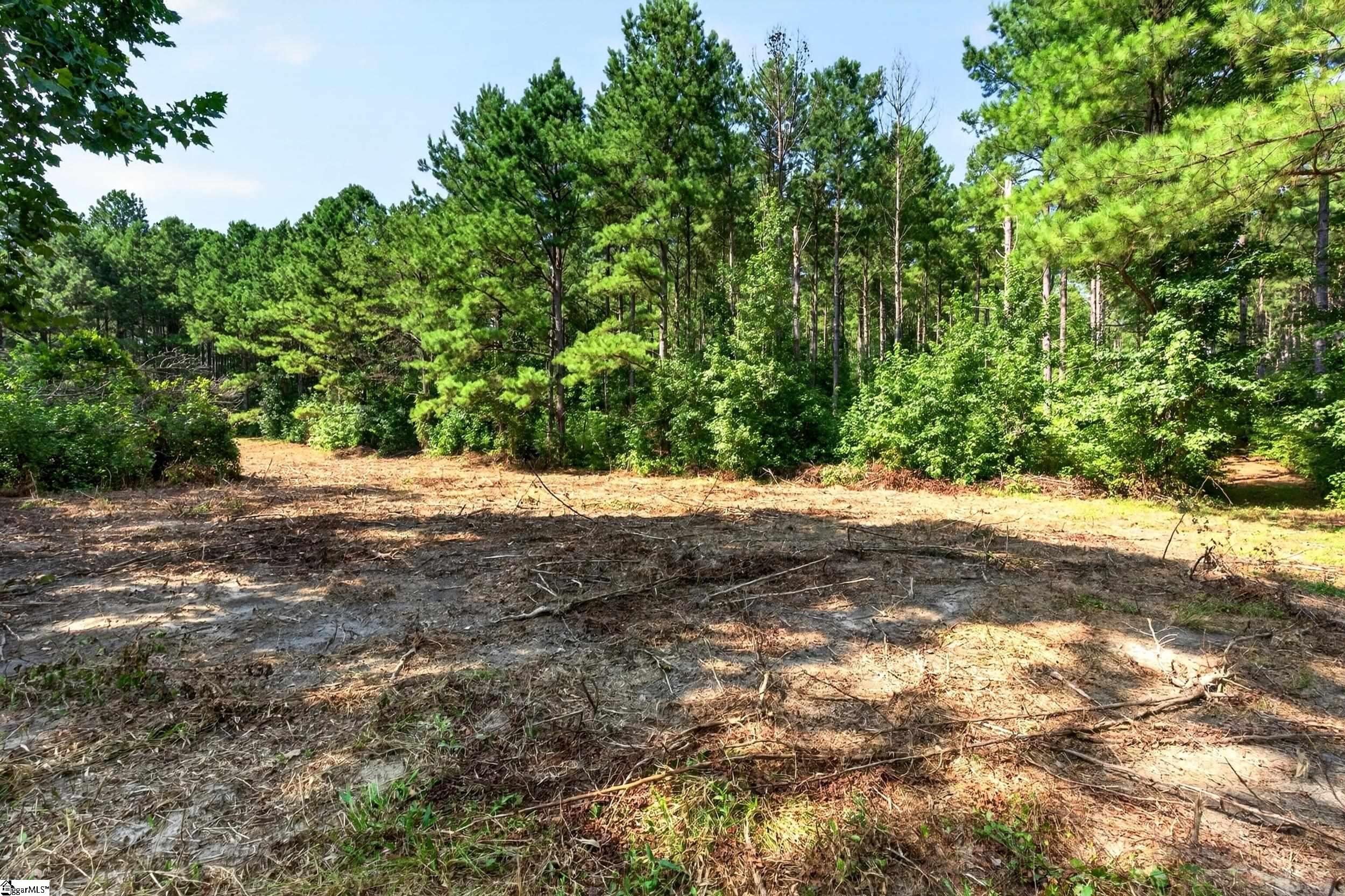 0 Todd Road Honea Path, SC 29654 - Photo 9 of 26 Gallery Image 9