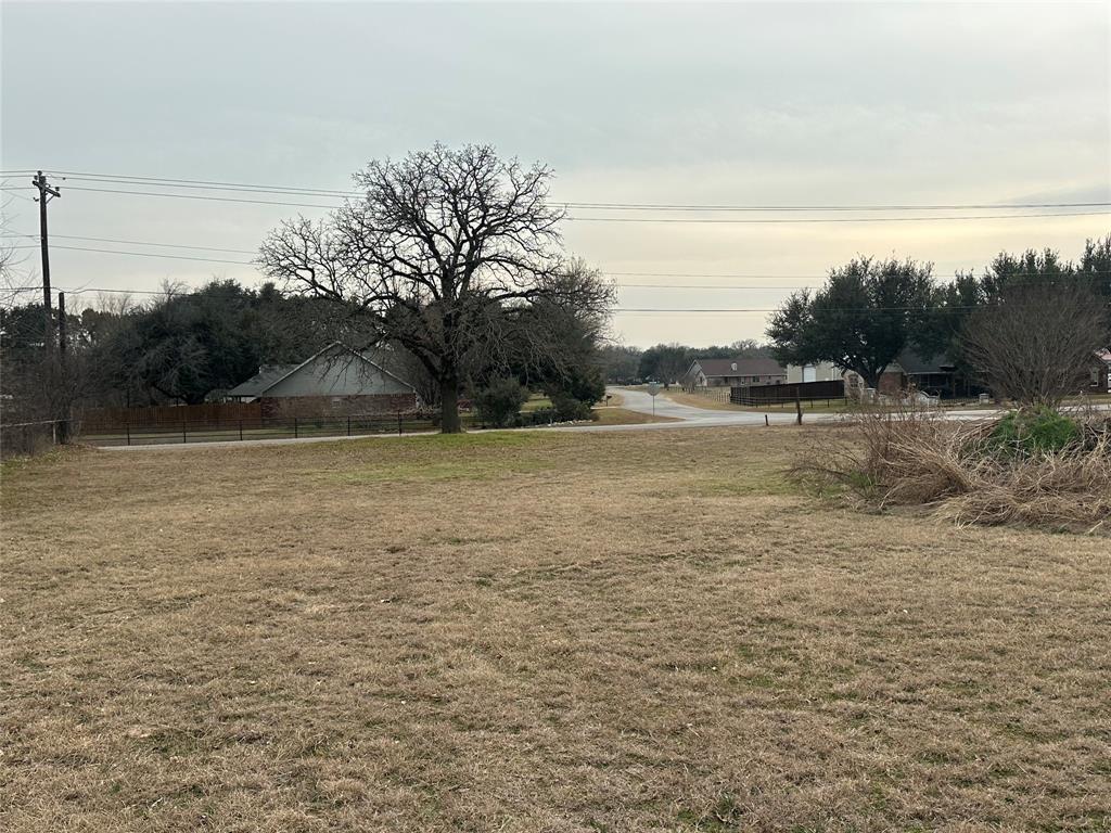 0 Hutcheson Road Springtown, TX 76082 - Photo 4 of 6