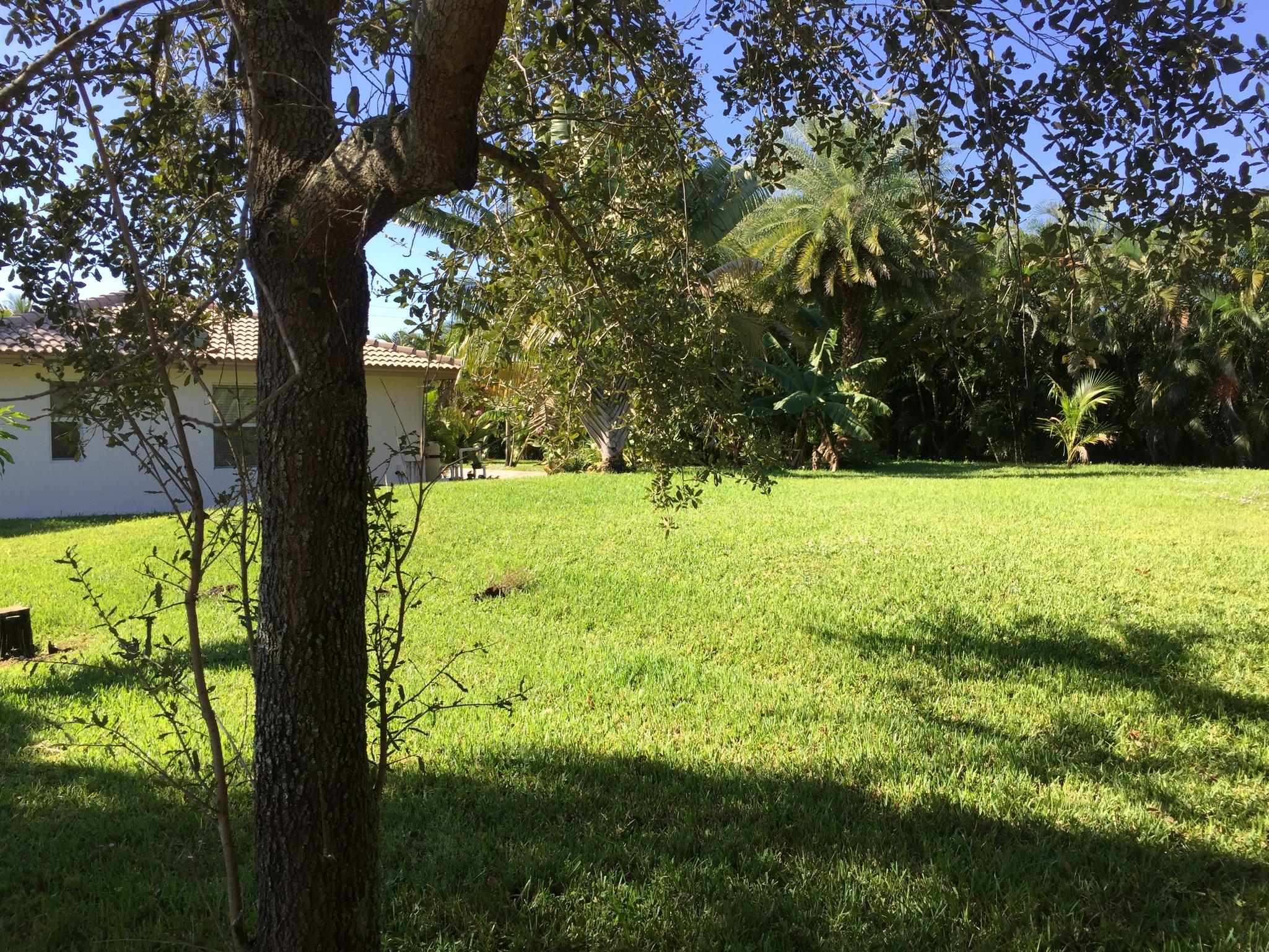 68 Springdale Road Lake Worth, FL 33467 - Photo 26 of 27 IMG_0134