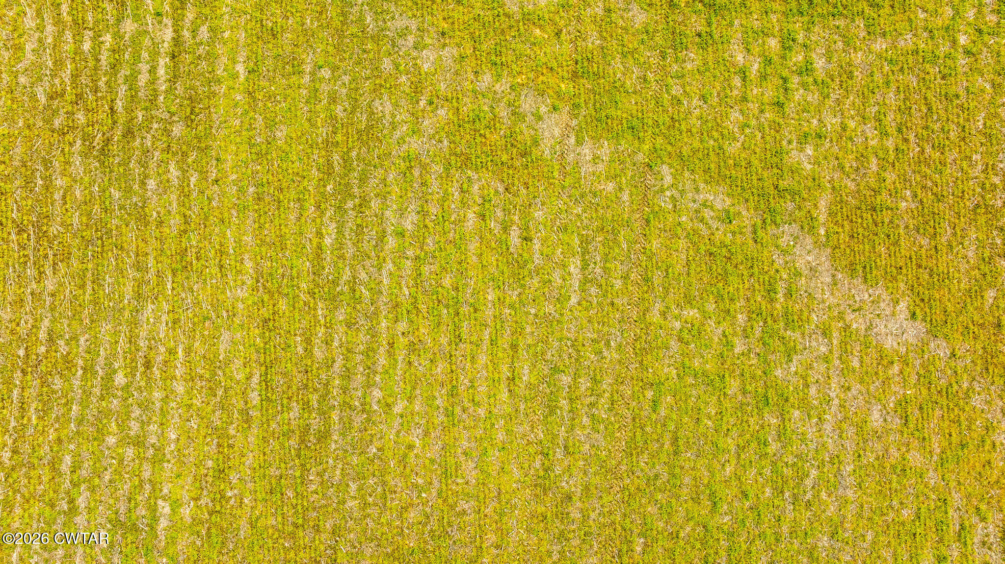 0 Rutherford-kenton & Highway Rutherford, TN 38369 - Photo 12 of 17 DJI_20260319151949_0023_D