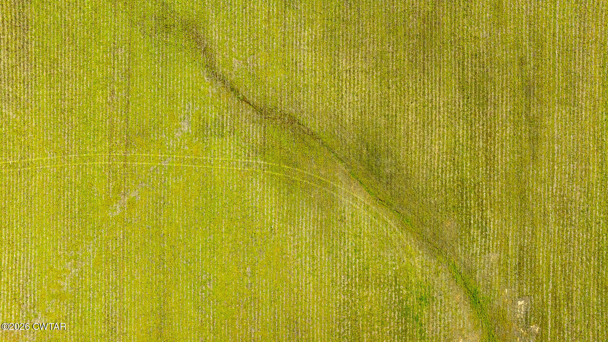 0 Rutherford-kenton & Highway Rutherford, TN 38369 - Photo 14 of 17 DJI_20260319152100_0026_D