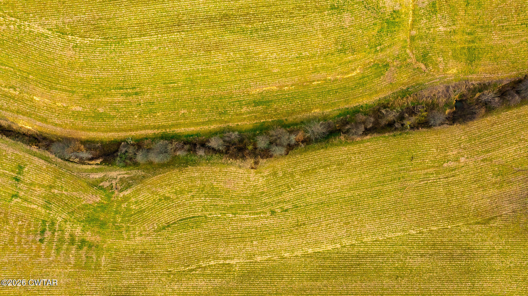 0 Rutherford-kenton & Highway Rutherford, TN 38369 - Photo 7 of 17 DJI_20260319151809_0017_D