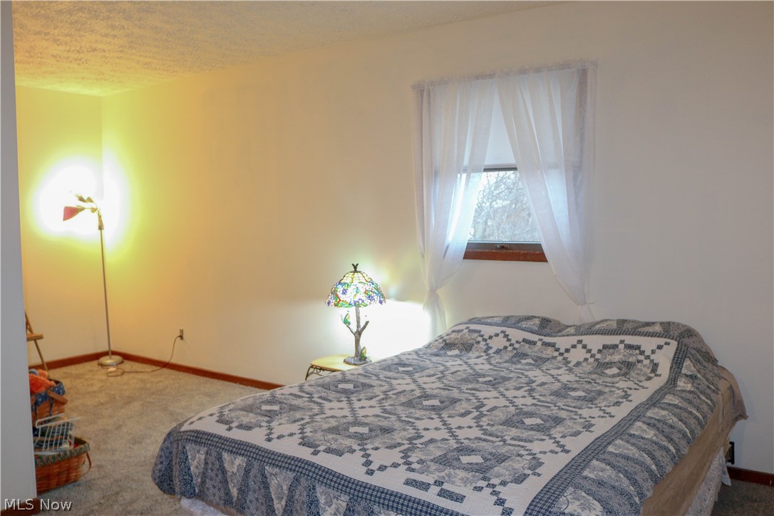 7562 Rice Road Amherst, OH 44001 - Photo 28 of 34