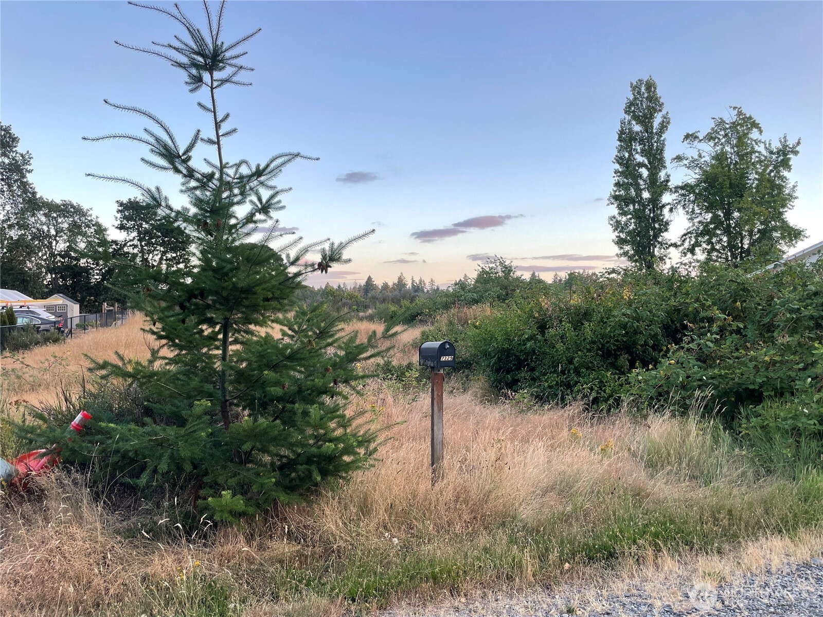 7329 Phillips Road Southwest Lakewood, WA 98498 - Photo 1 of 5 Gallery Image 1