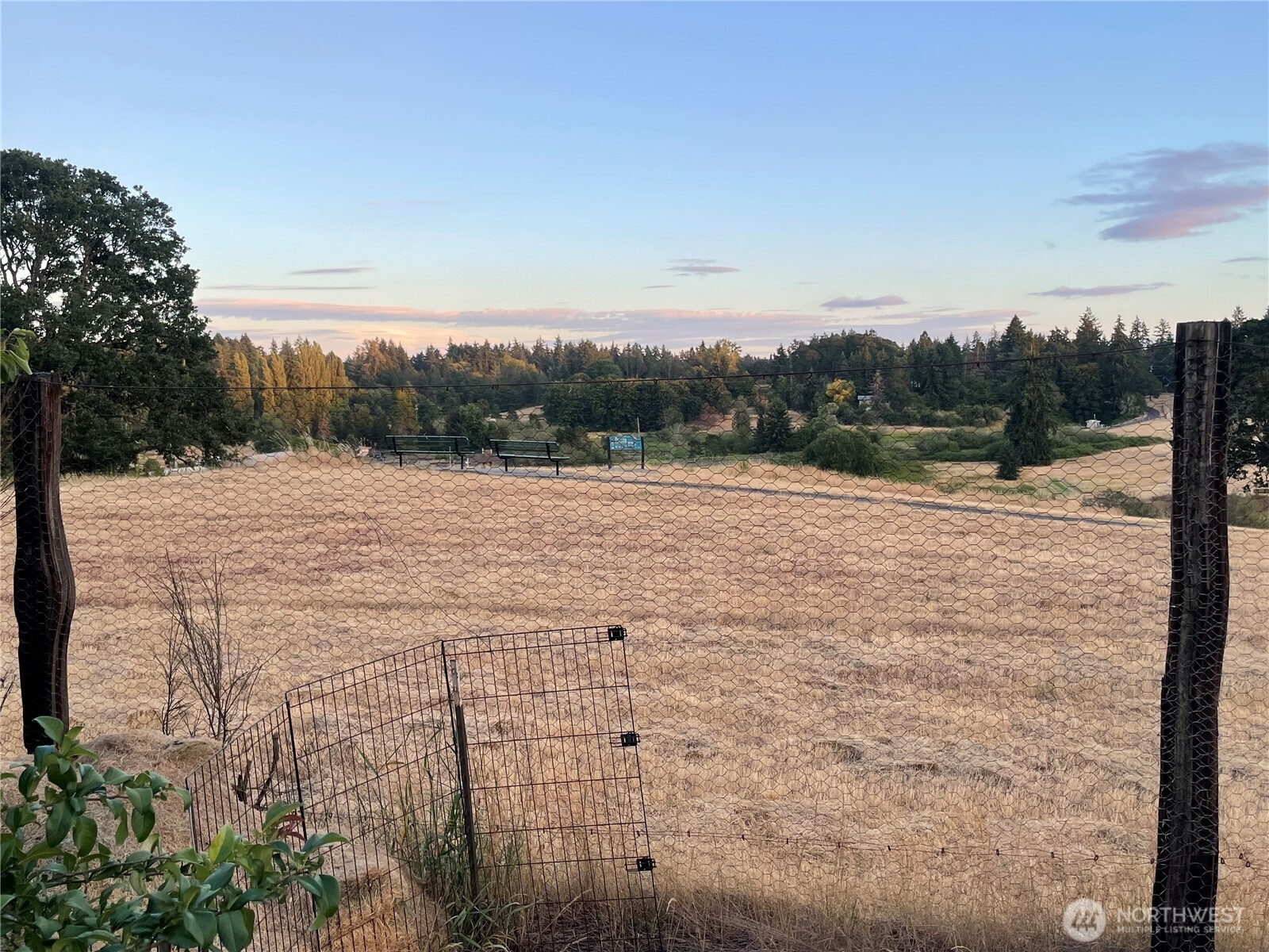 7329 Phillips Road Southwest Lakewood, WA 98498 - Photo 2 of 5 Gallery Image 2