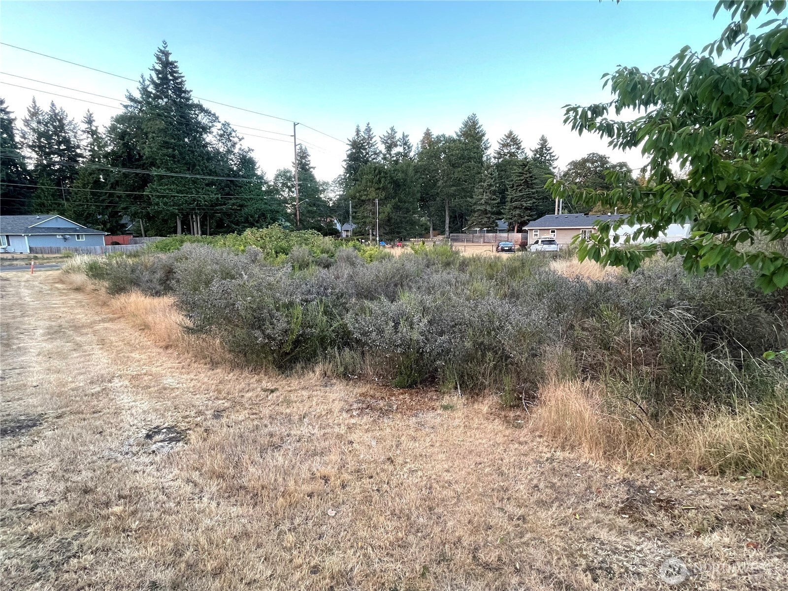 7329 Phillips Road Southwest Lakewood, WA 98498 - Photo 3 of 5 Gallery Image 3