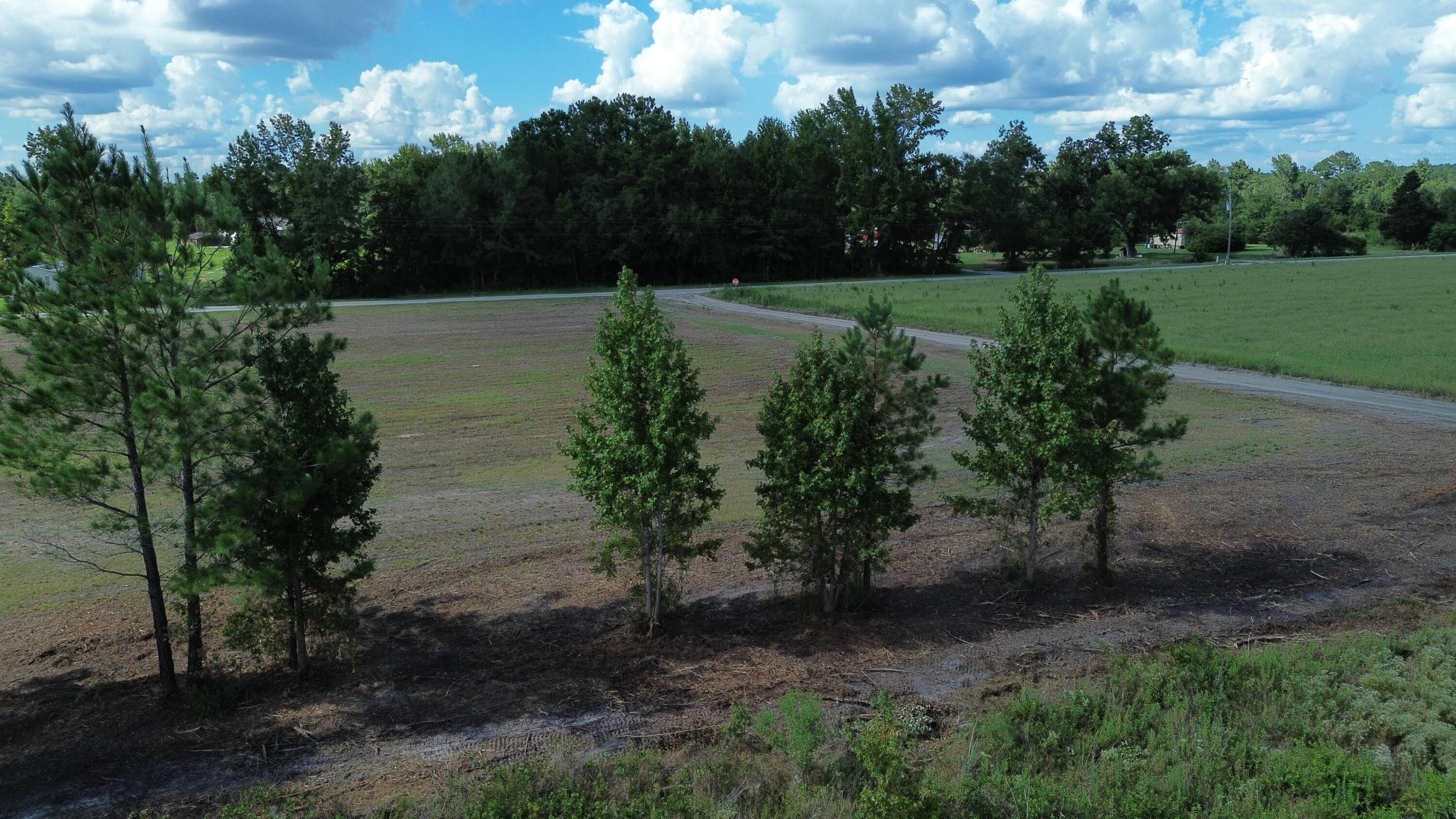 1 Bethel Forest Road Rowesville, SC 29133 - Photo 15 of 23 DJI_0062