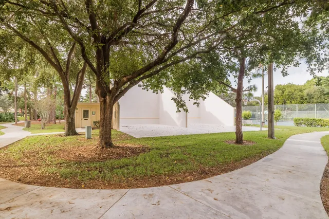 a view of a yard with a tree