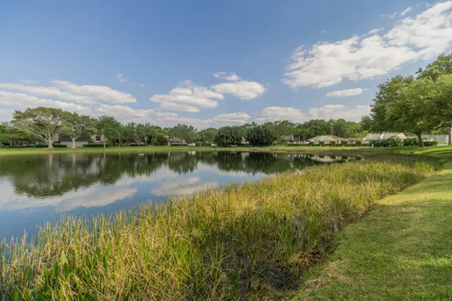 a view of a lake with houses in the back