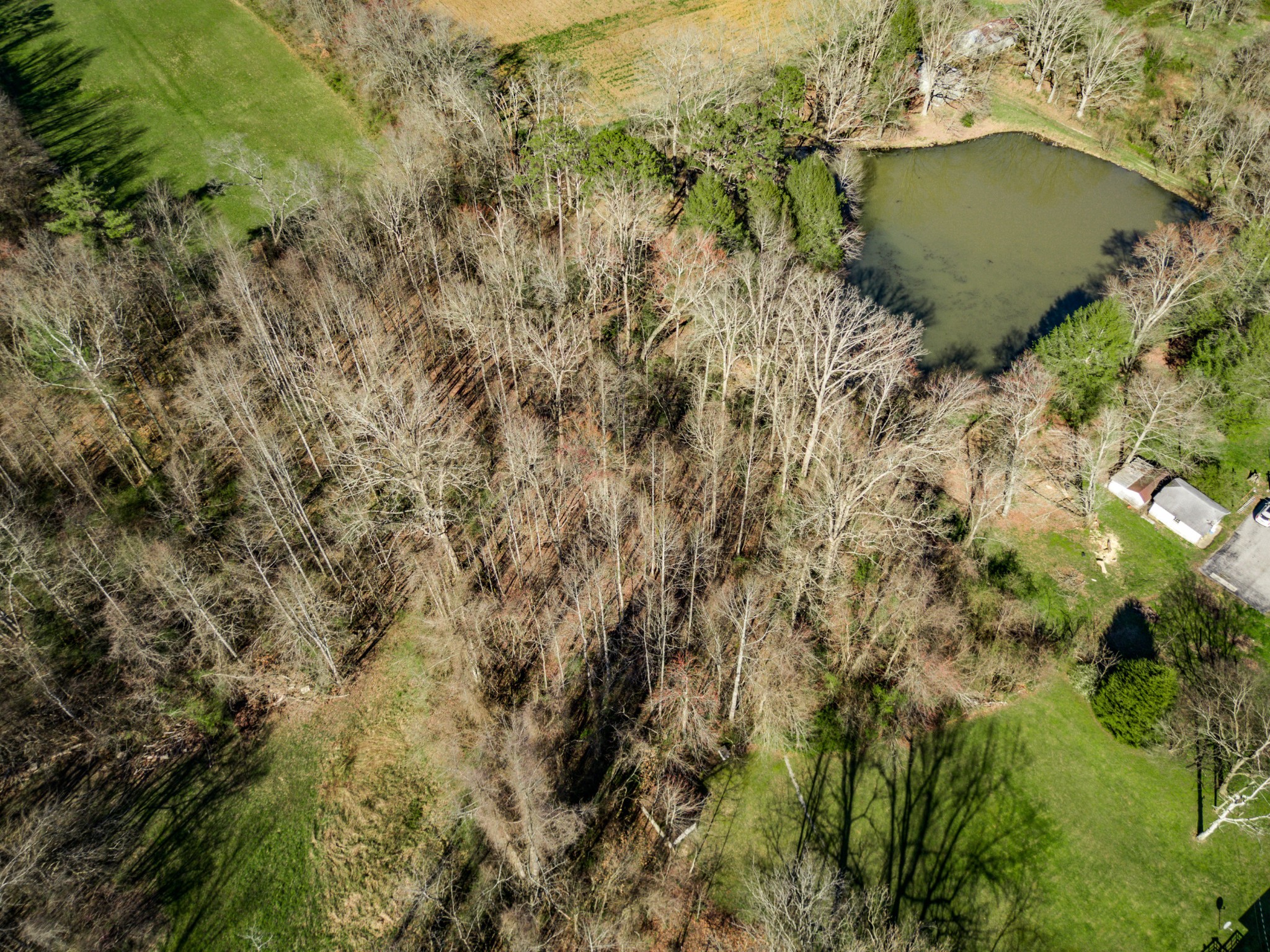 2423 Baseline Road Allardt, TN 38556 - Photo 35 of 38 Gallery Image 35