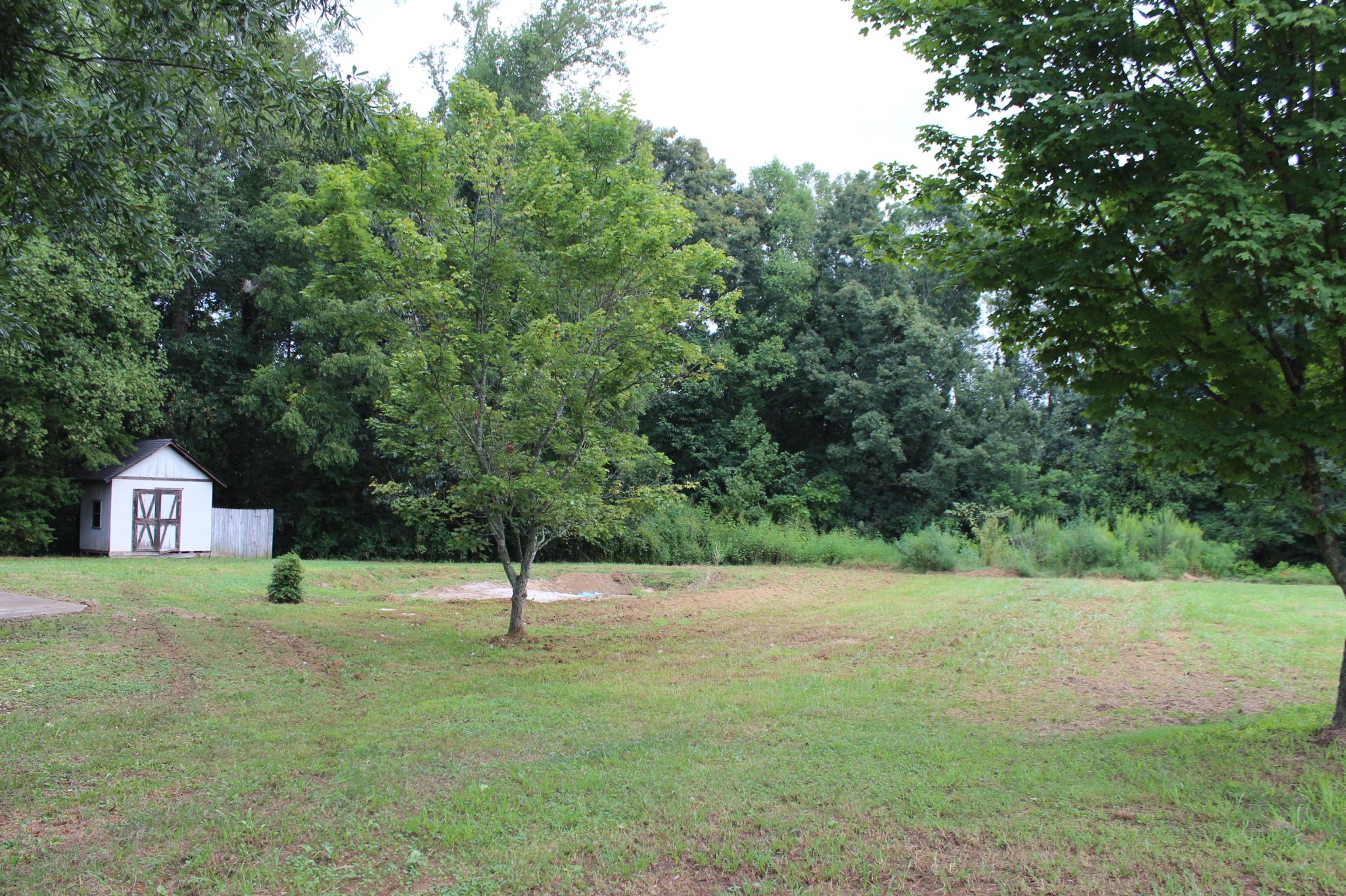 389 Peach Orchard Road Clinton, TN 37716 - Photo 4 of 20 Gallery Image 4