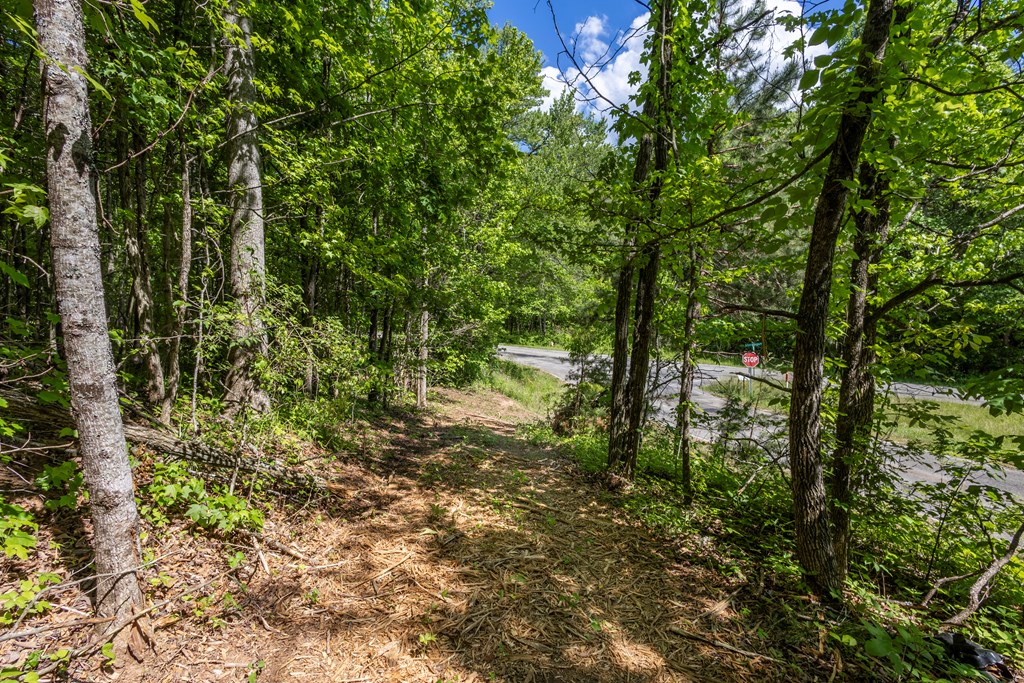 4.2-acre Donley Road Murphy, NC 28906 - Photo 8 of 32 a view of outdoor space and trees