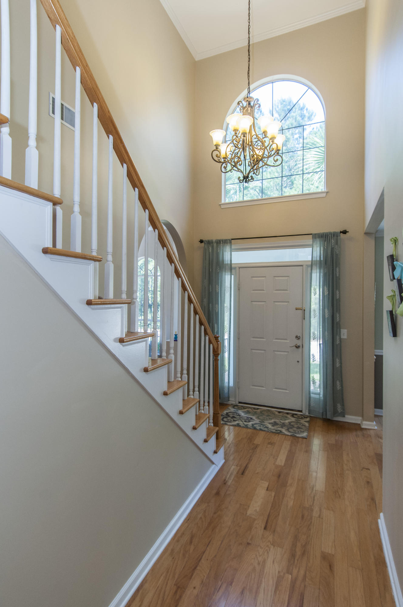 2797 Rosedown Point Mount Pleasant, SC 29466 - Photo 16 of 22 _DSC6880