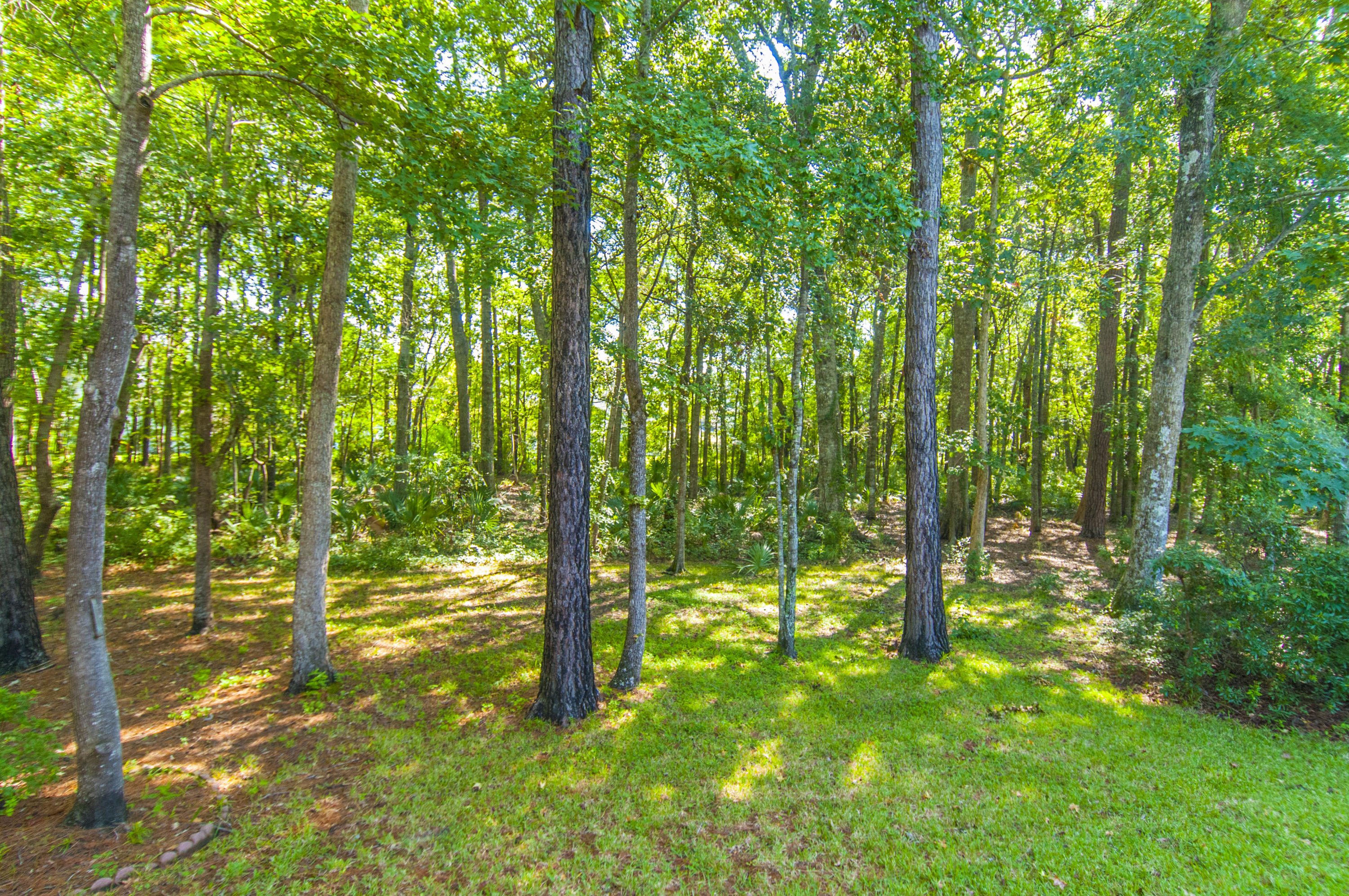2797 Rosedown Point Mount Pleasant, SC 29466 - Photo 17 of 22 _DSC6909