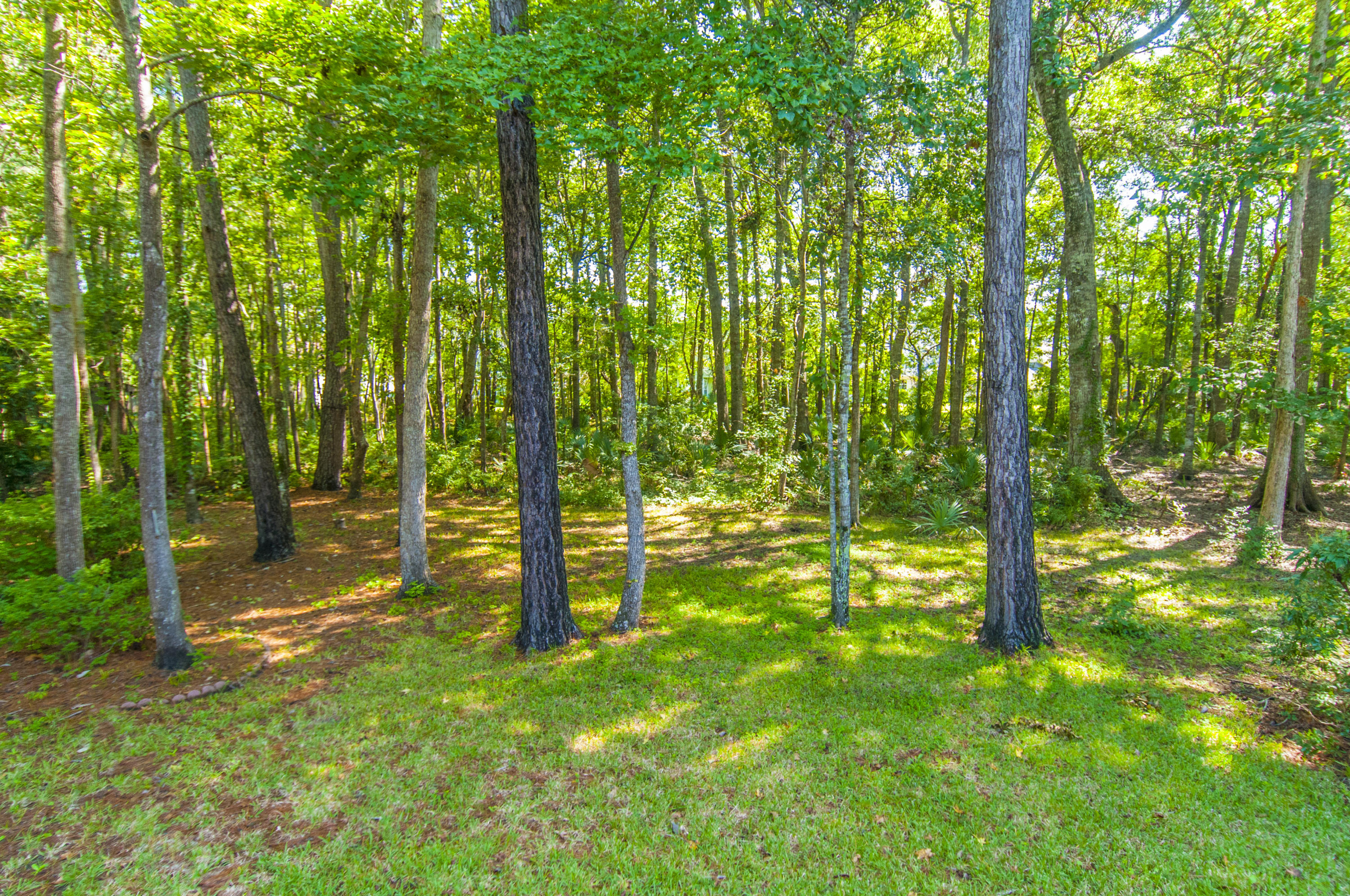 2797 Rosedown Point Mount Pleasant, SC 29466 - Photo 21 of 22 _DSC6910