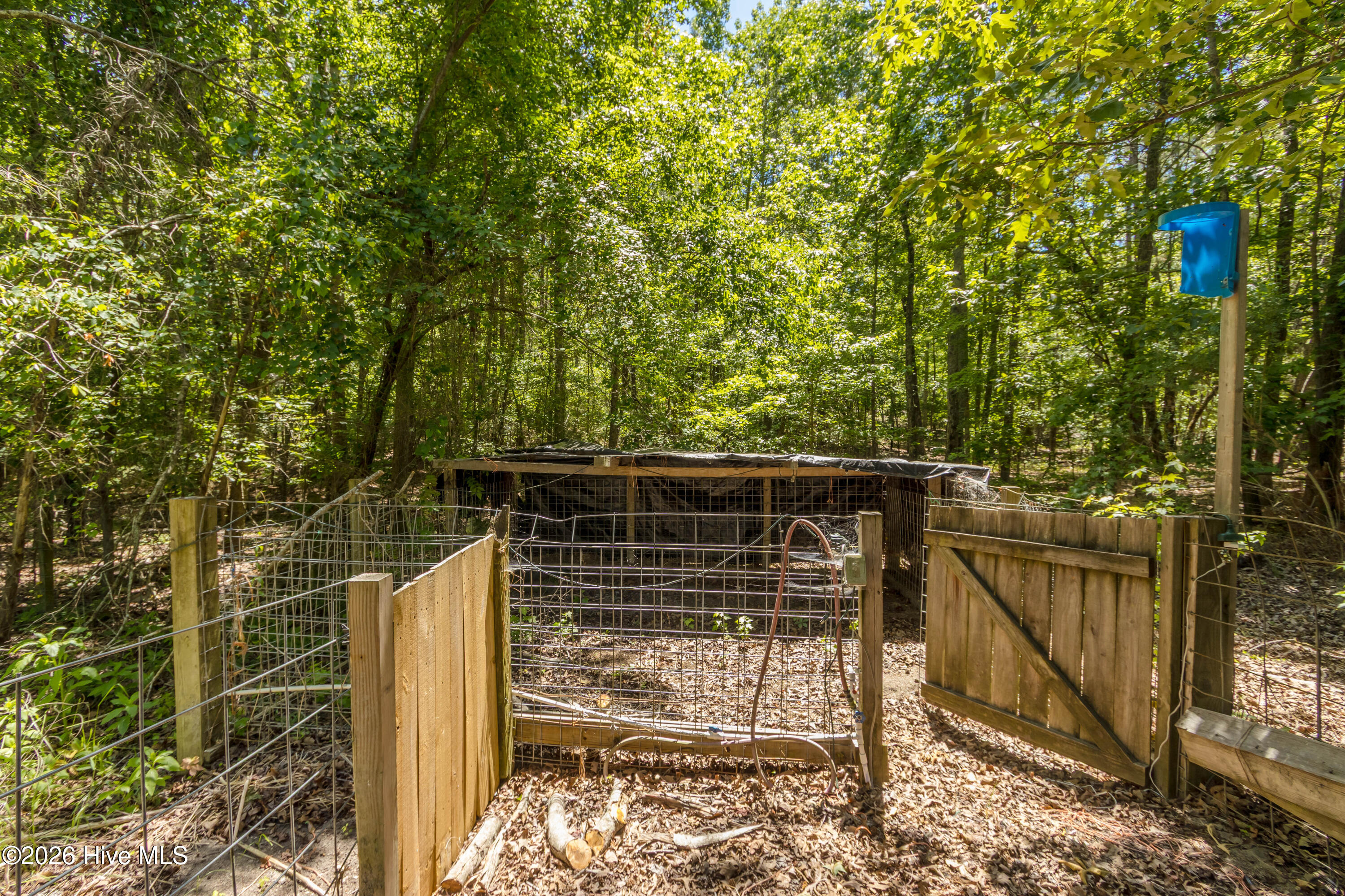 1221 Lakeview Drive Grovetown, GA 30813 - Photo 49 of 55 Backyard