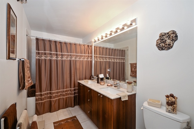 235 West Van Buren Street, Unit 2216 Chicago, IL 60607 - Photo 7 of 10