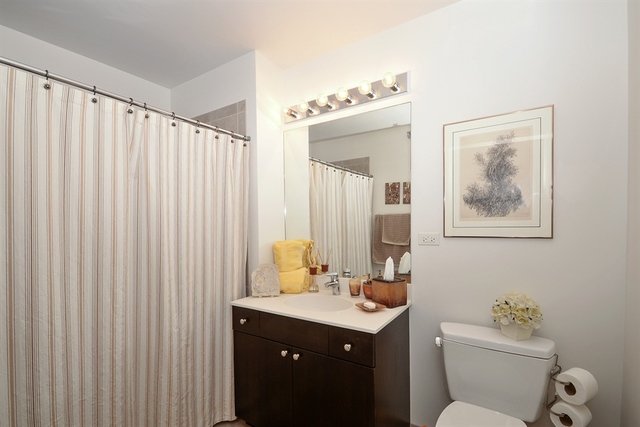 235 West Van Buren Street, Unit 2216 Chicago, IL 60607 - Photo 9 of 10