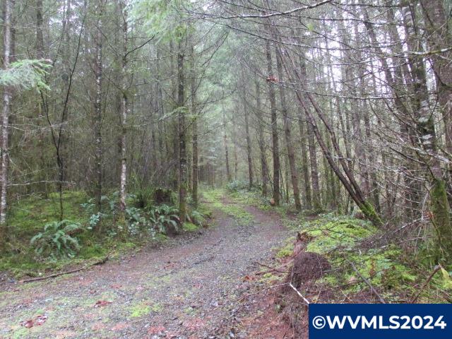 0 Zurfluh Road Scio, OR 97374 - Photo 12 of 14