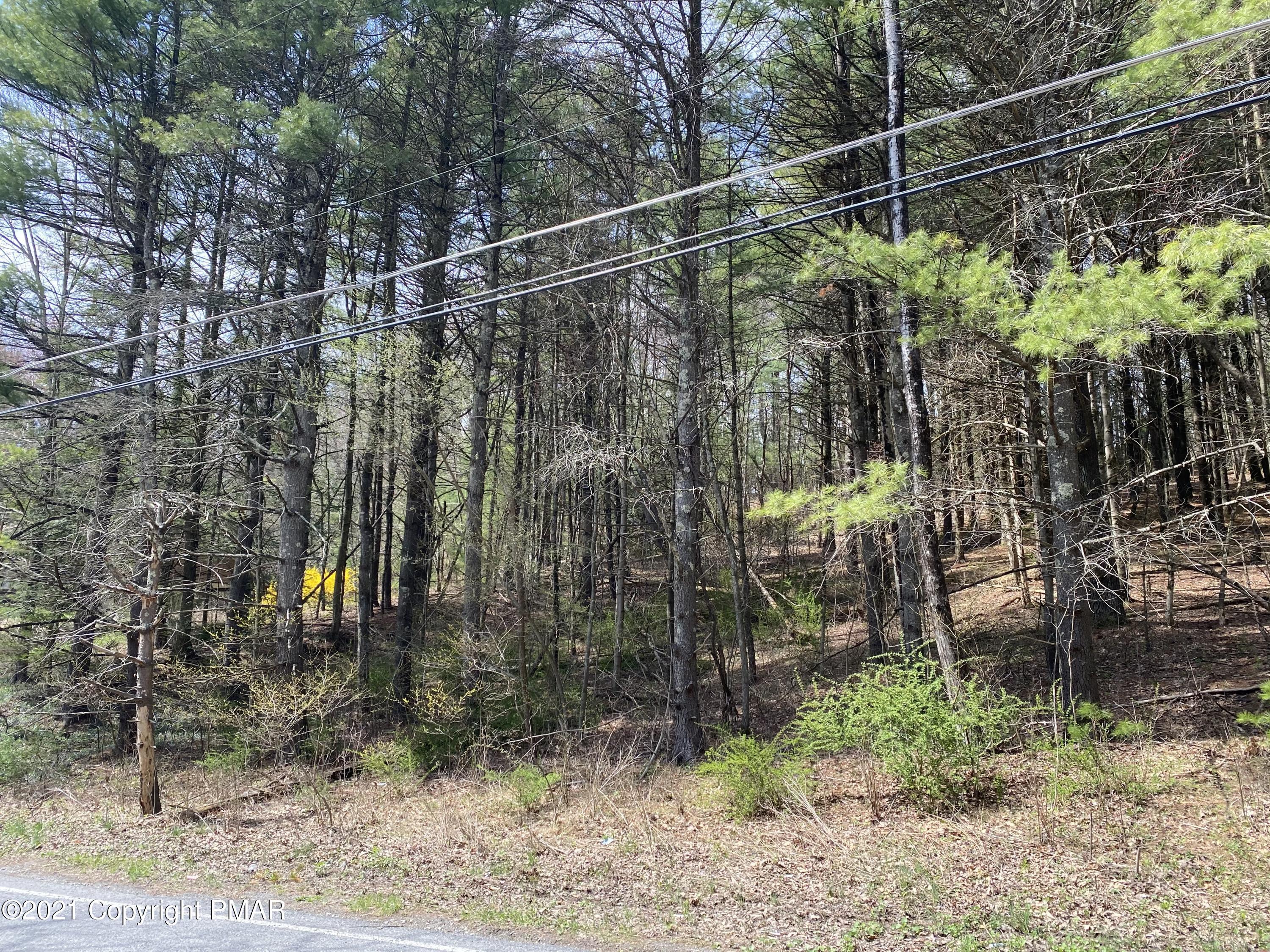 Haney Road Kunkletown, PA 18058 - Photo 4 of 9 a view of a pathway along a garden