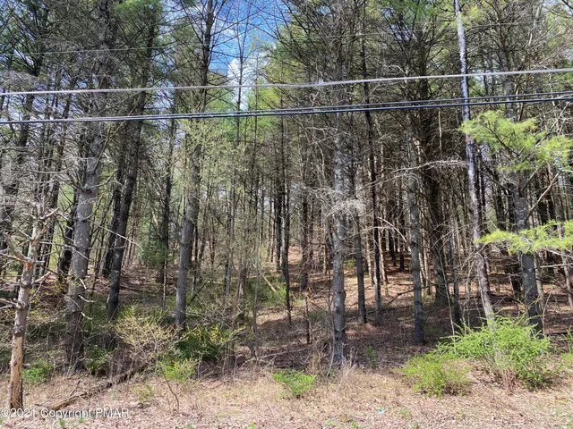 a view of yard with green space