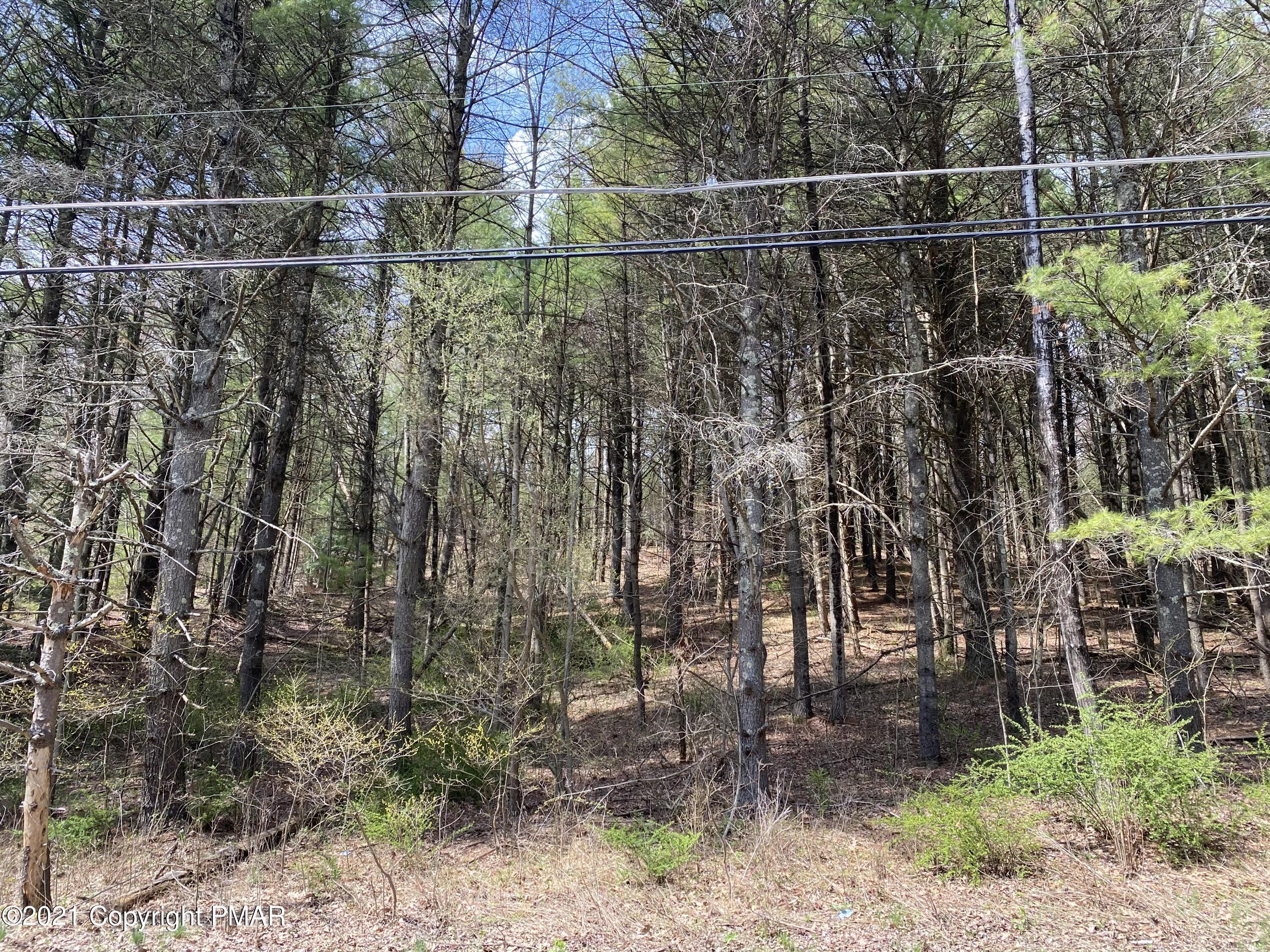 Haney Road Kunkletown, PA 18058 - Photo 6 of 9 a view of yard with green space