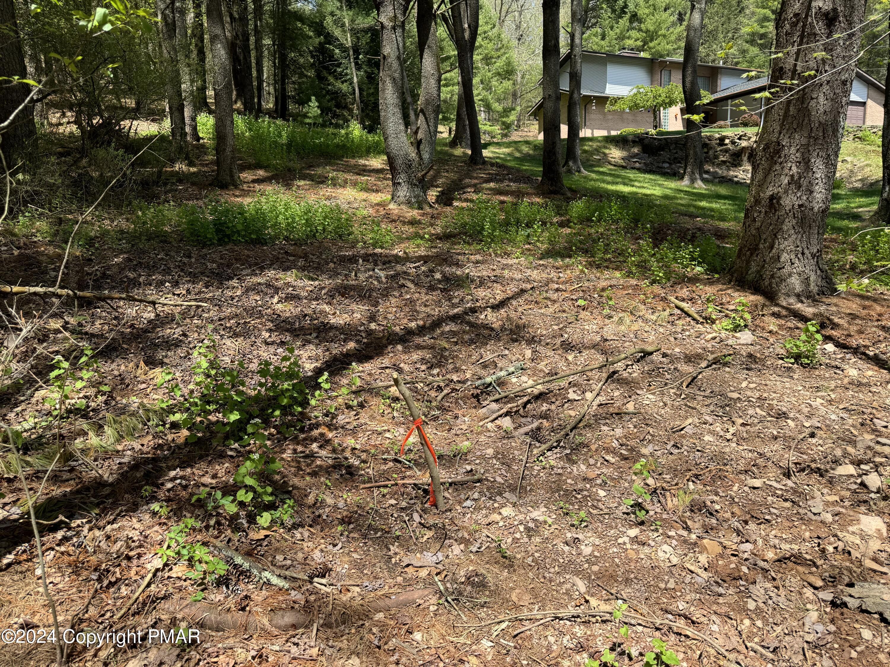 Haney Road Kunkletown, PA 18058 - Photo 8 of 9 a backyard of a house with lots of green space