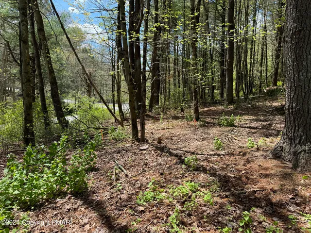 a view of outdoor space with trees
