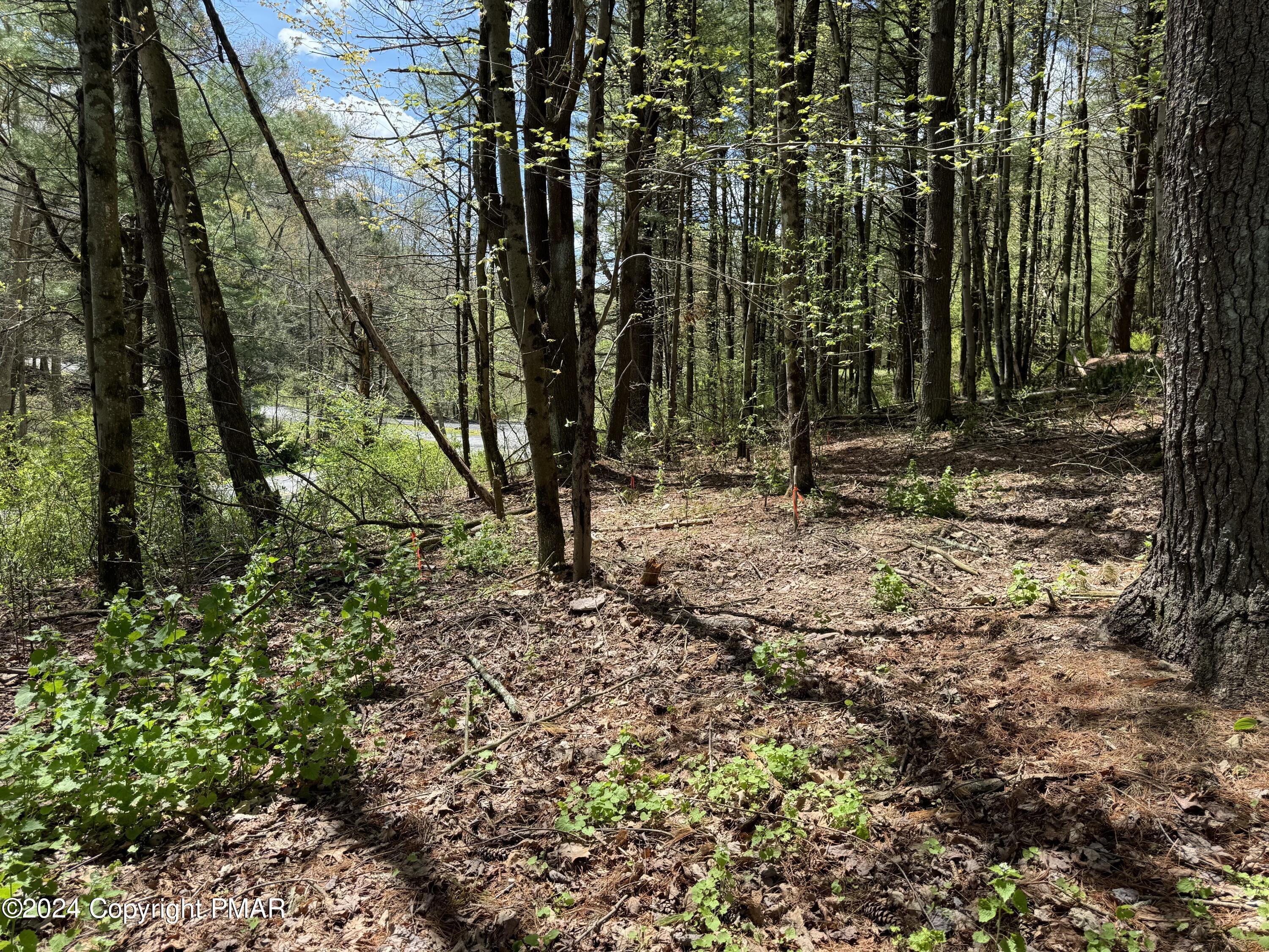 Haney Road Kunkletown, PA 18058 - Photo 9 of 9 a view of outdoor space with trees
