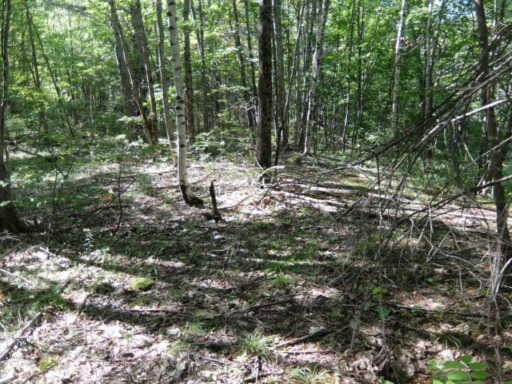 419 River Road Topsham, ME 04086 - Photo 20 of 22 DSCF9675