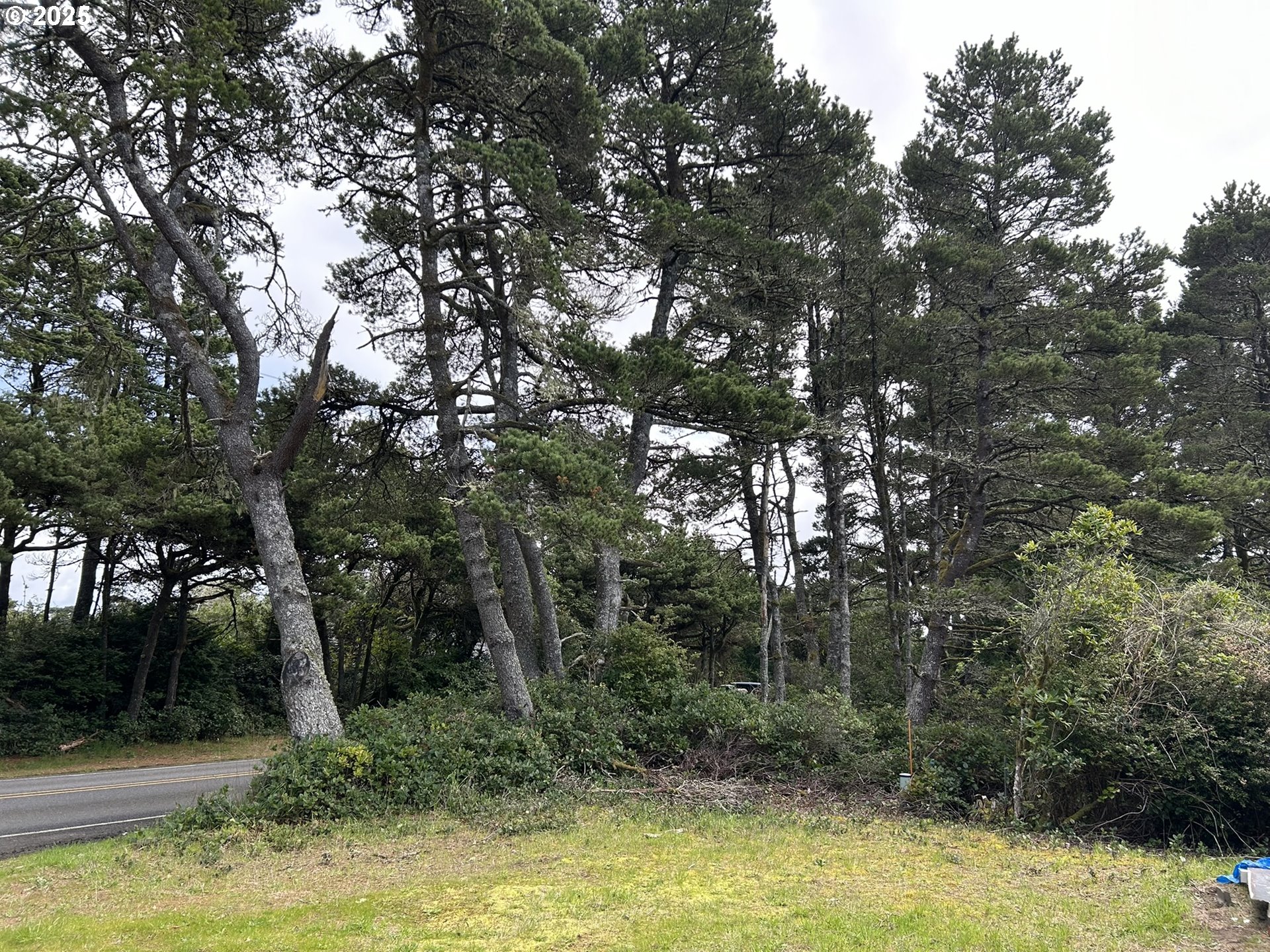 87636 Rhododendron Drive Florence, OR 97439 - Photo 11 of 11