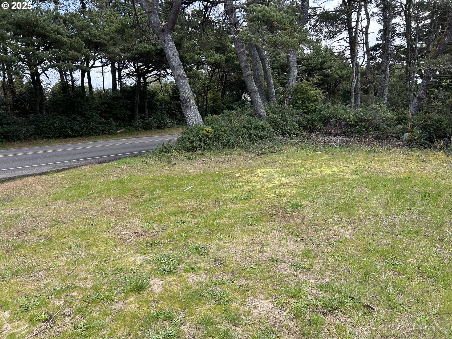 87636 Rhododendron Drive Florence, OR 97439 - Photo 5 of 11