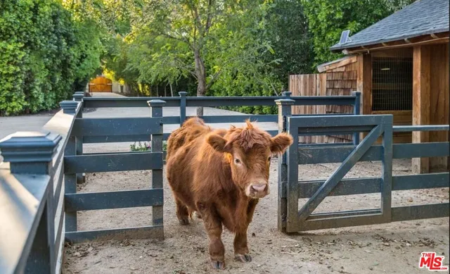 a living room with furniture rug and wooden floor