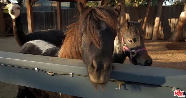 a living room with furniture a fireplace and a large window