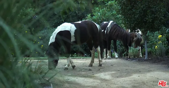 a living room with furniture a fireplace and a ceiling fan