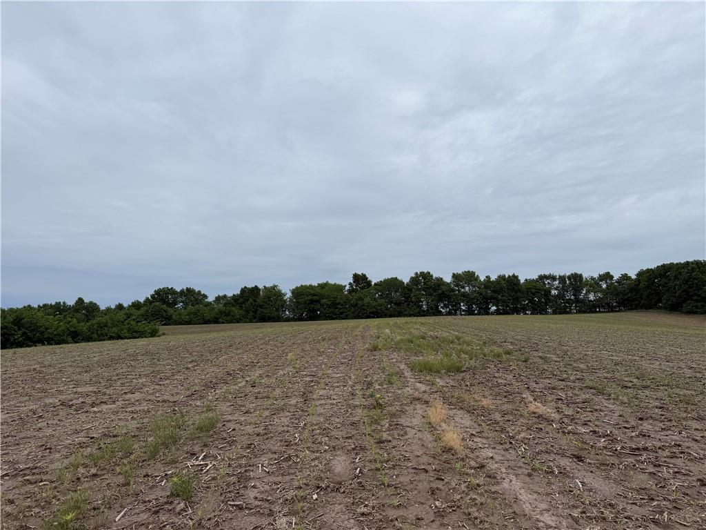 Cotton Road Purdin, MO 64674 - Photo 10 of 14