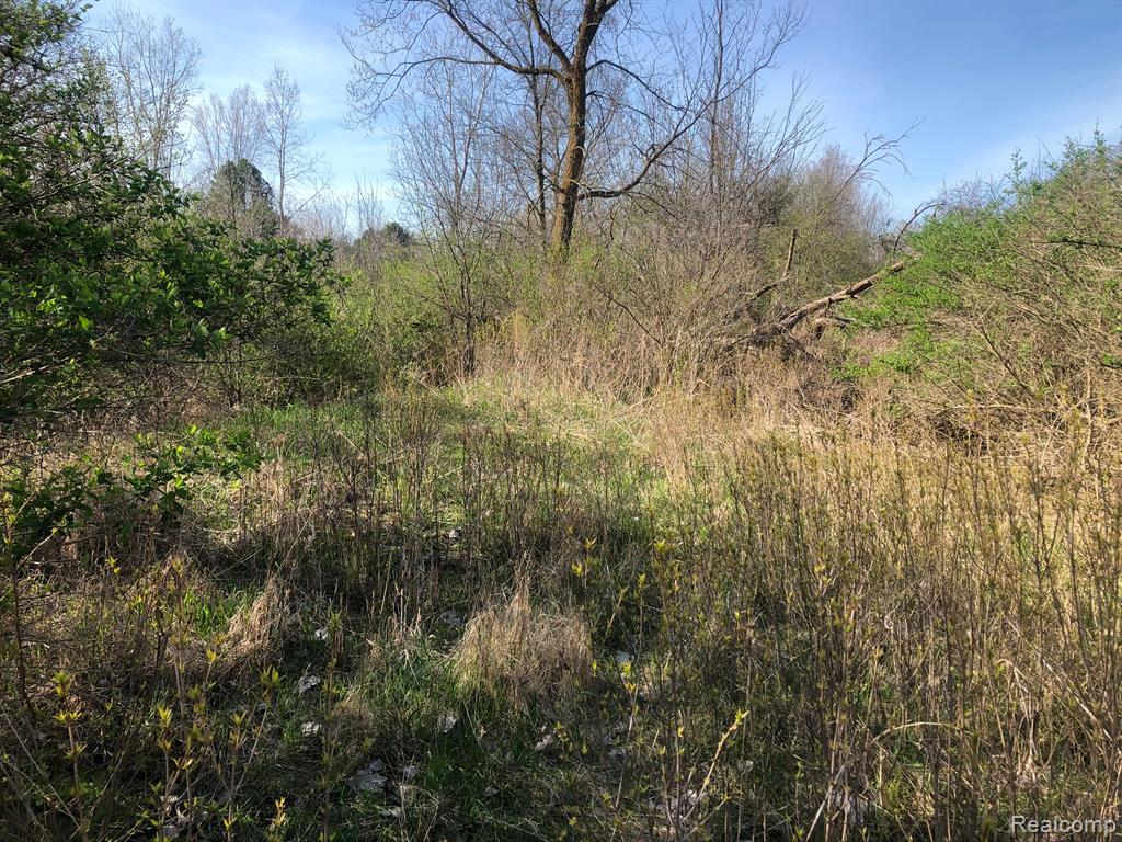 1182 South Morrish Road Flint, MI 48532 - Photo 7 of 9