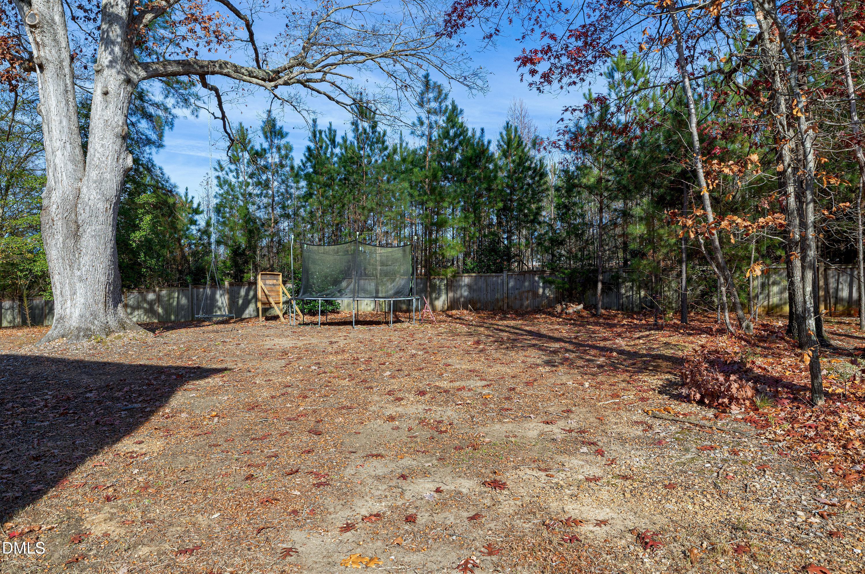 212 Mystic Pine Place Apex, NC 27539 - Photo 50 of 67 a view of outdoor space with trees
