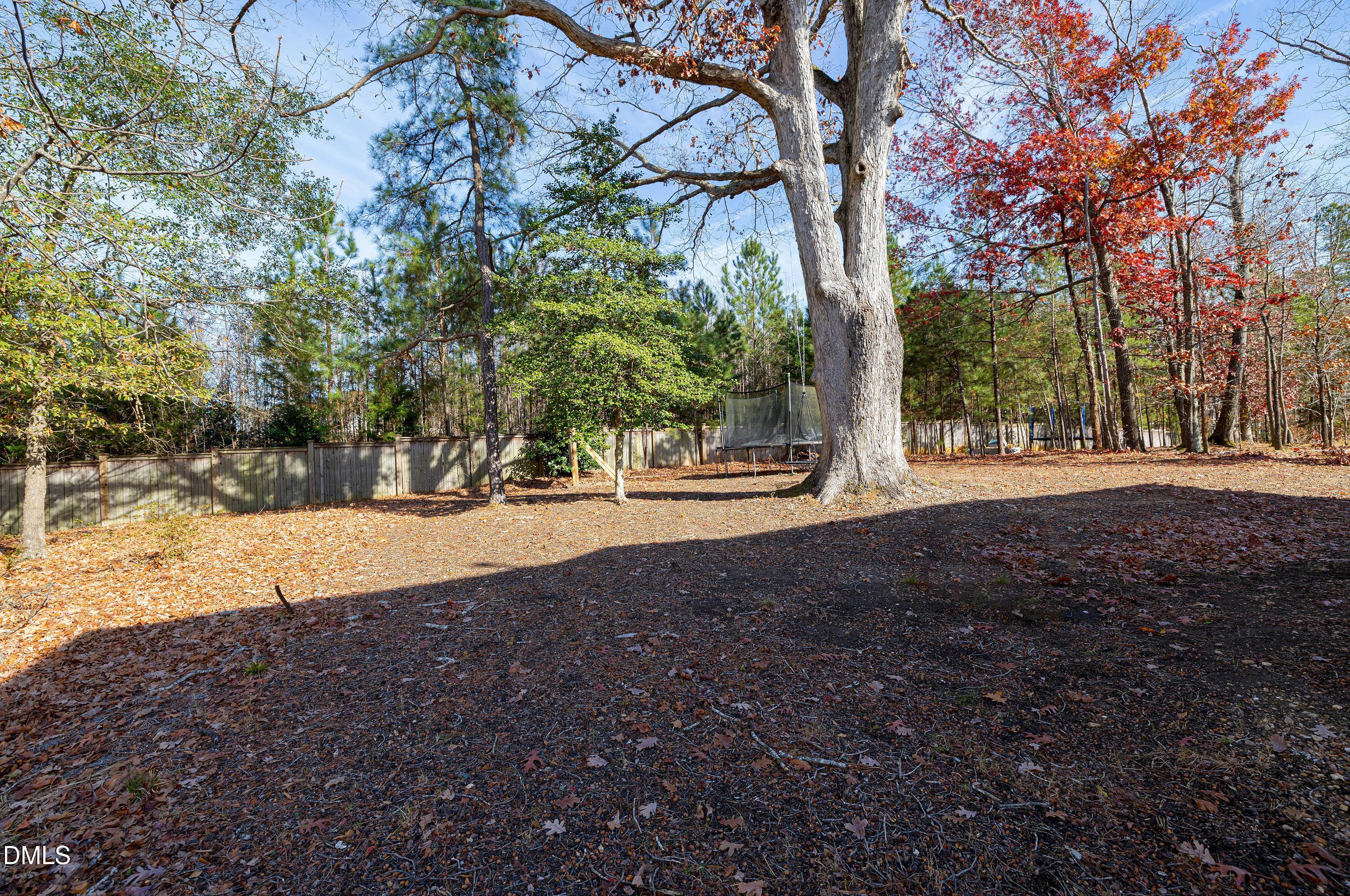 212 Mystic Pine Place Apex, NC 27539 - Photo 52 of 67 a view of outdoor space with trees