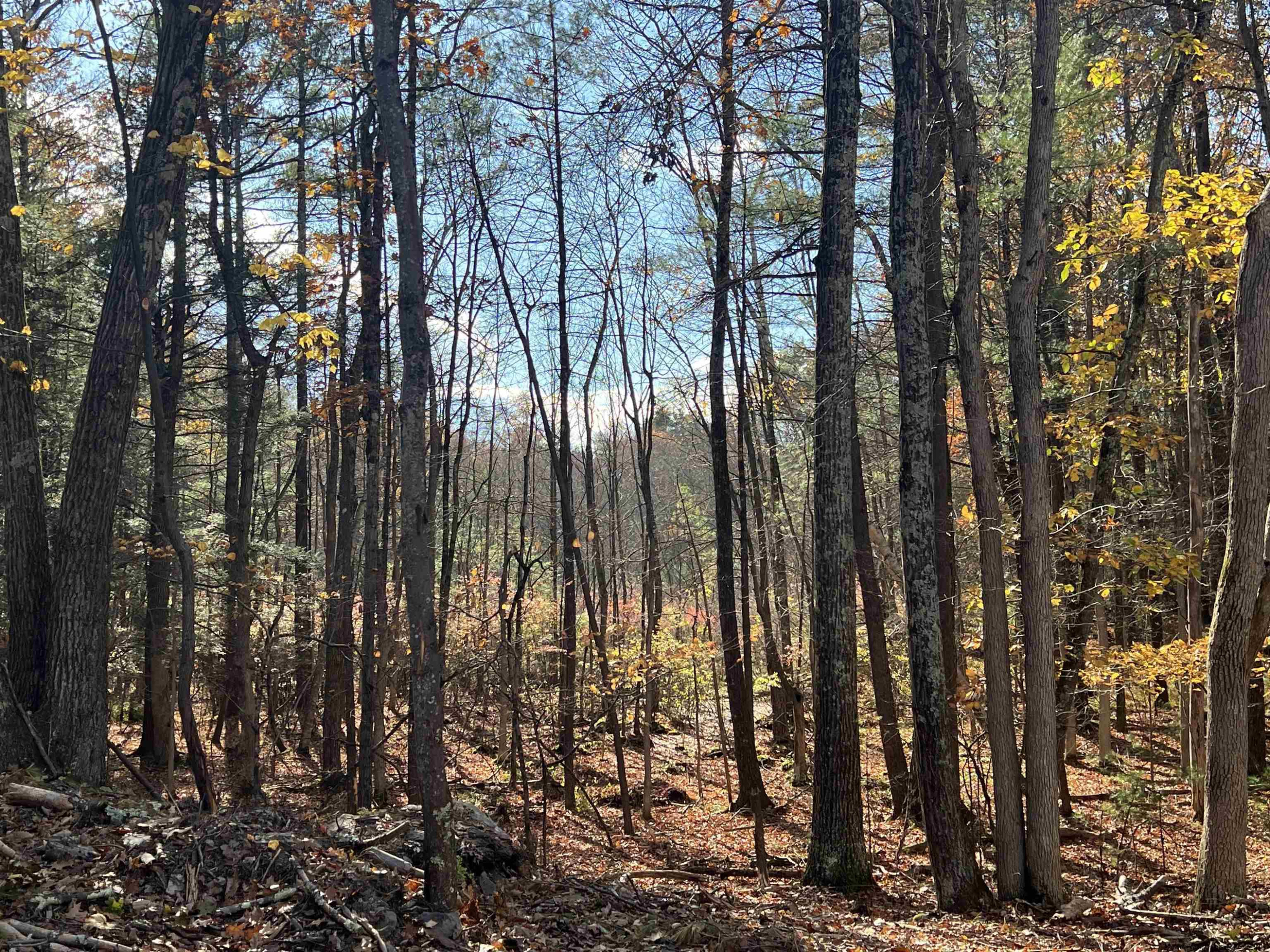 86 Goat Hill Road Saugerties, NY 12477 - Photo 10 of 16 Photo 10