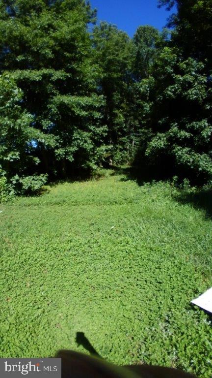 24608 Grove Road Federalsburg, MD 21632 - Photo 3 of 7 Gallery Image 3