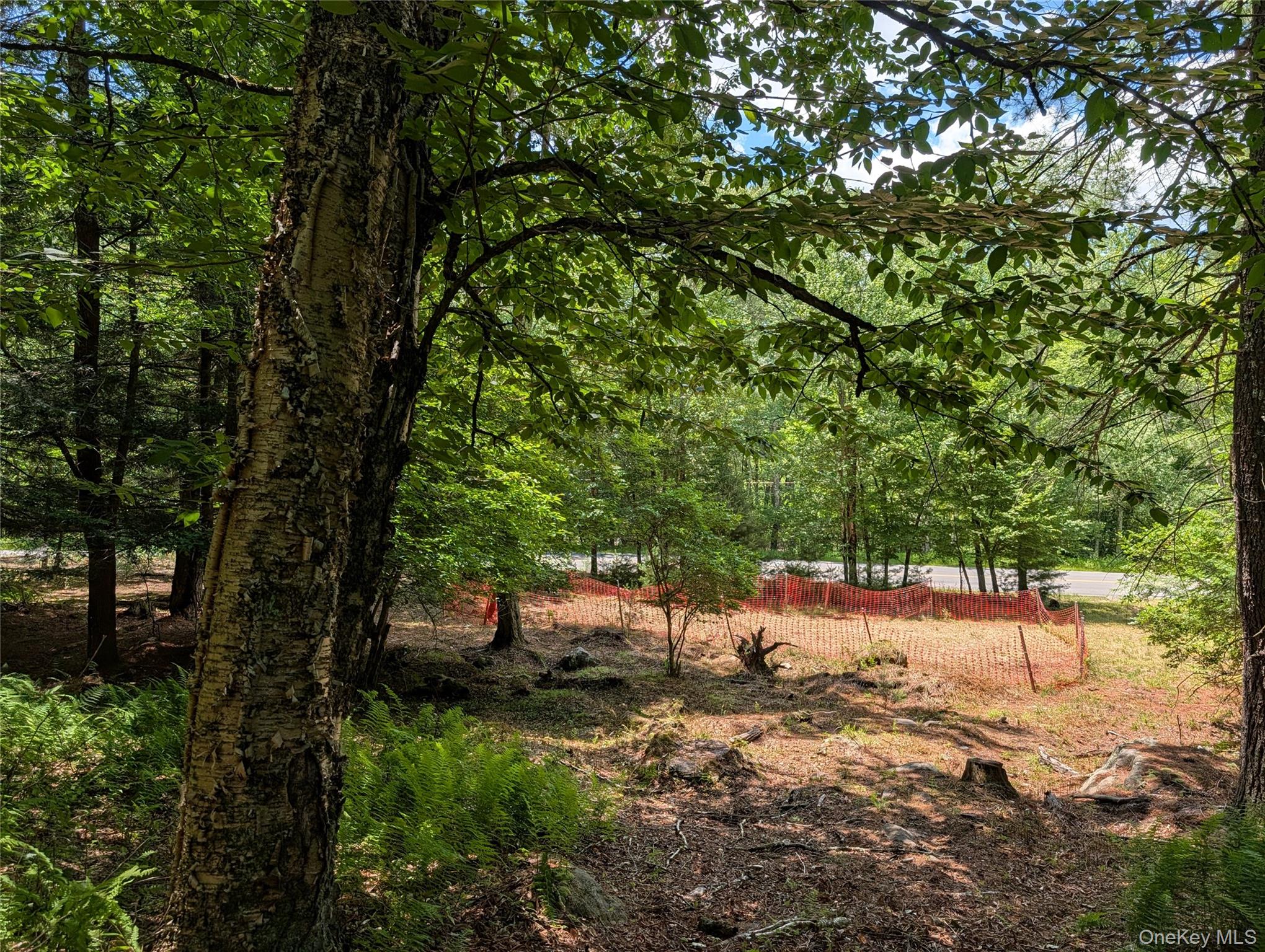 Ballard Road Bethel, NY 12720 - Photo 2 of 10 View to road