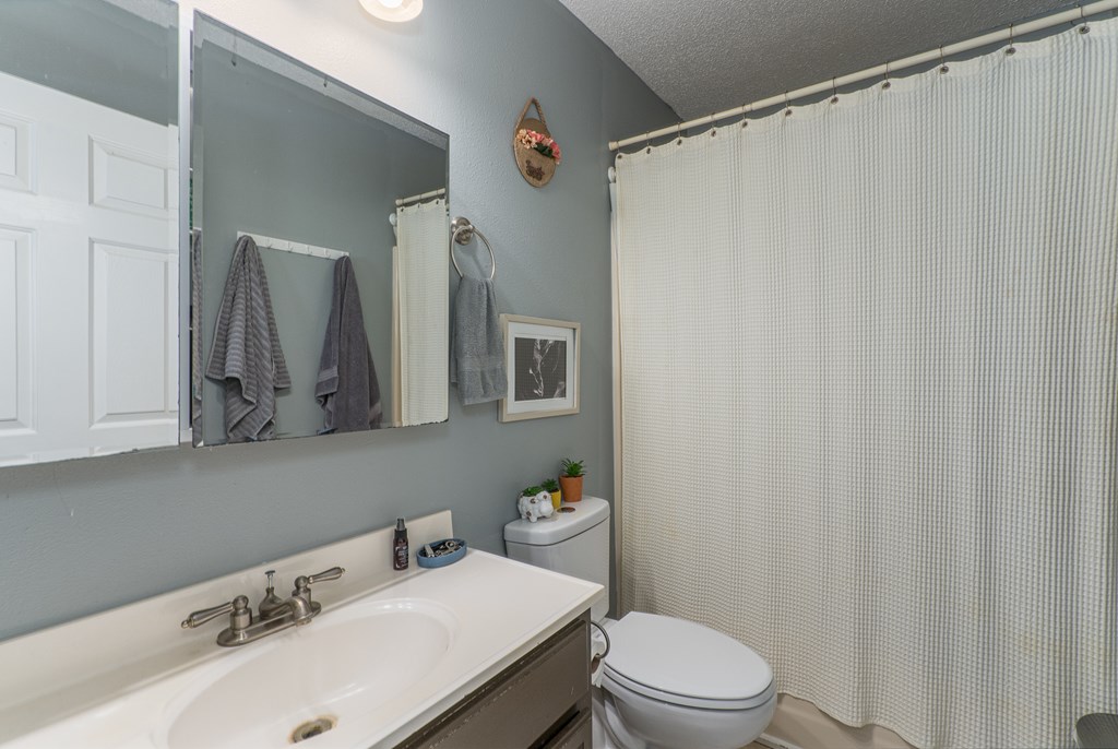 264 Tommy's Lane Murphy, NC 28906 - Photo 25 of 53 a bathroom with a sink a toilet and a mirror