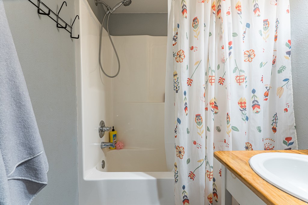 264 Tommy's Lane Murphy, NC 28906 - Photo 32 of 53 a bathroom with a sink and a shower curtain
