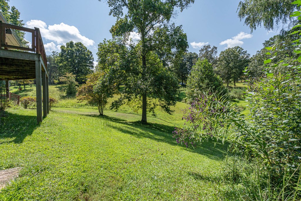 264 Tommy's Lane Murphy, NC 28906 - Photo 42 of 53 a view of backyard with tree