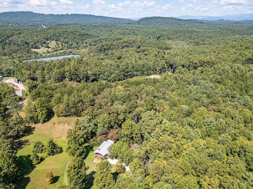 264 Tommy's Lane Murphy, NC 28906 - Photo 47 of 53 a view of a field with an ocean view