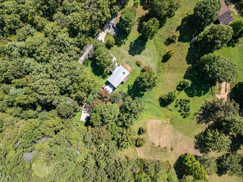 264 Tommy's Lane Murphy, NC 28906 - Photo 50 of 53 an aerial view of a houses with yard