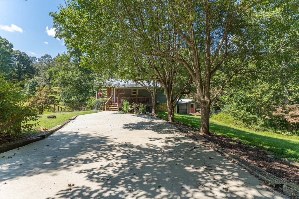 264 Tommy's Lane Murphy, NC 28906 - Photo 52 of 53 a view of a yard with plants and trees
